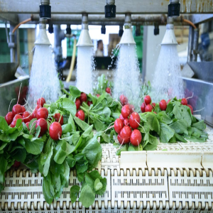 Food Processing